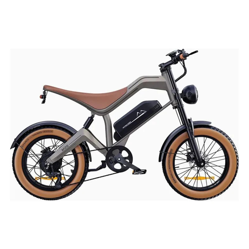 DYU M20