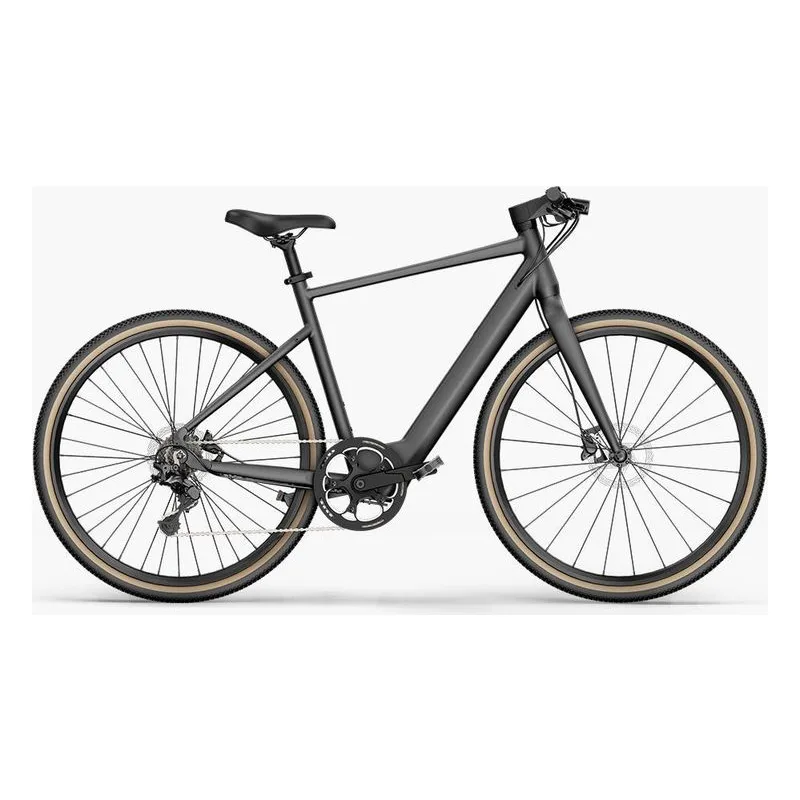 Fiido E-Gravel C21