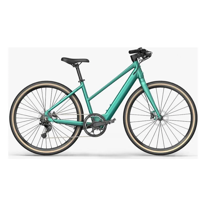 Fiido E-Gravel C22