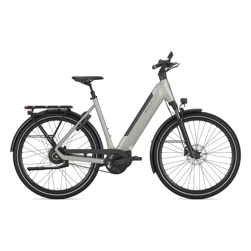 Gazelle Ultimate C380