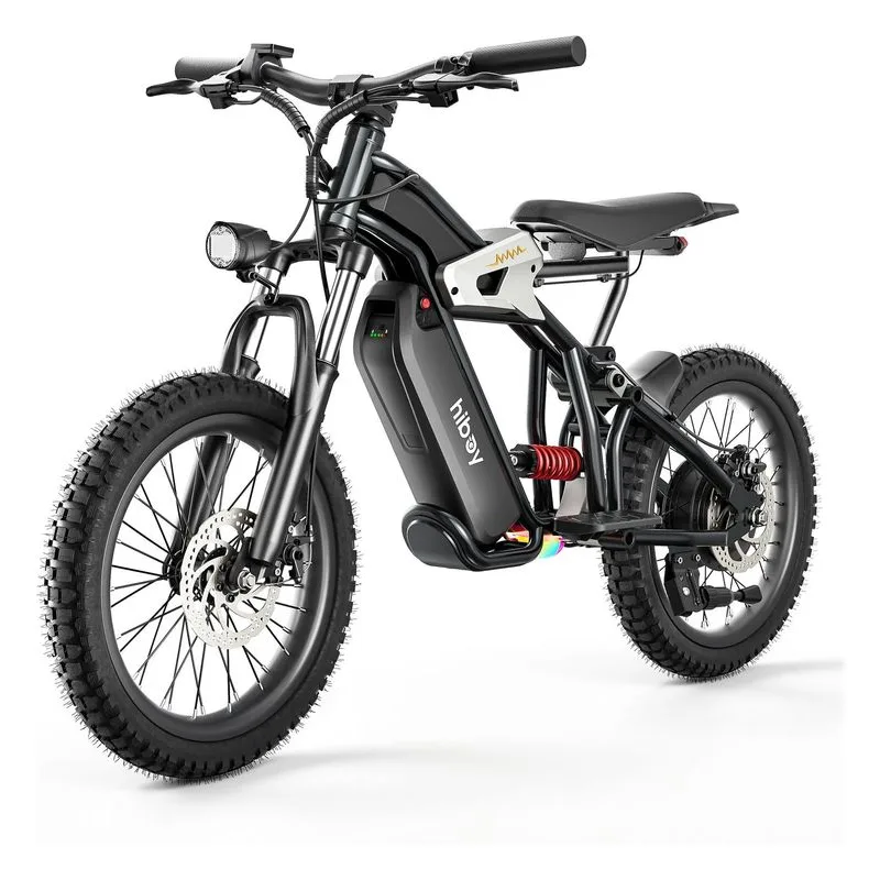 Hiboy DM14