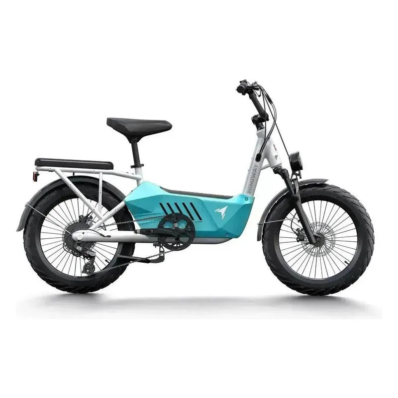 Himiway C3