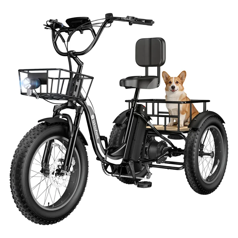 isinwheel Ucargo Tricycle