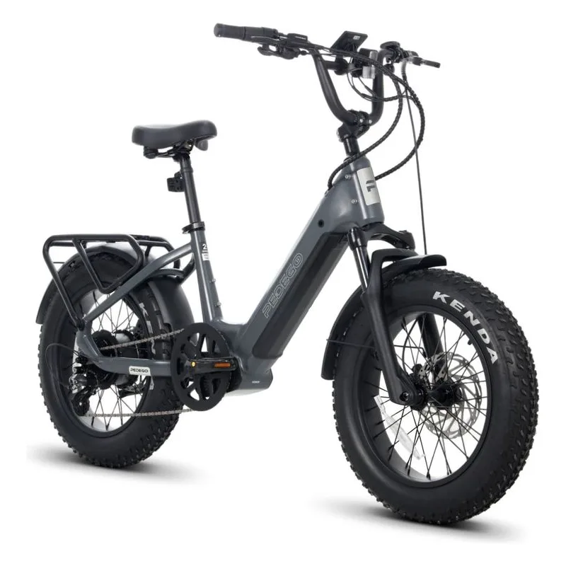 Pedego Element