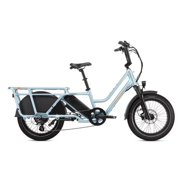 Rad Power Bikes RadWagon 5