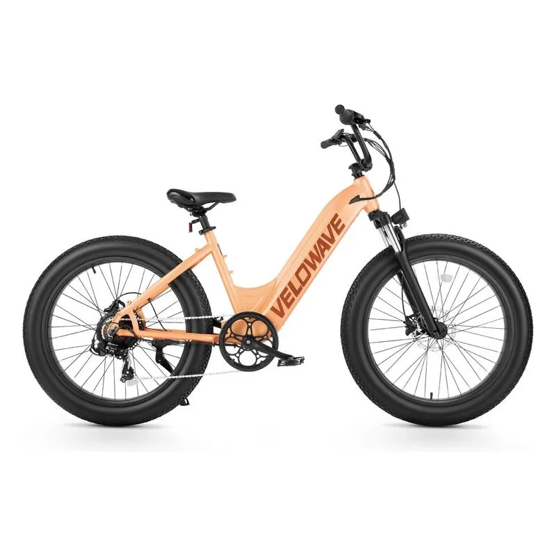 Velowave Rover